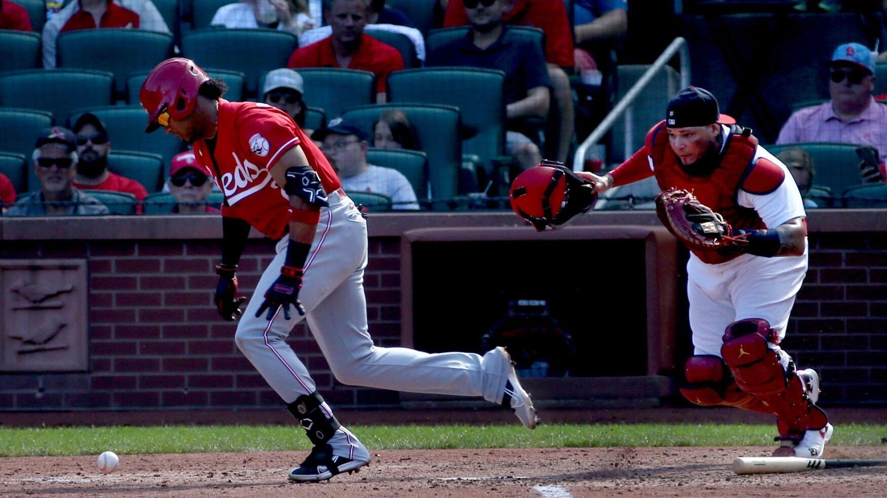 Cardinals minor league signee solidifies winter club ahead of Yadier Molina’s squad in standings